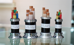 額定電壓0.61kV交聯(lián)聚乙烯絕緣
