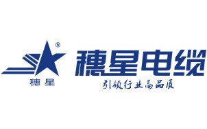 廣州電纜：院士專家支招德陽電線電纜及裝備工業(yè)：“提質(zhì)引智