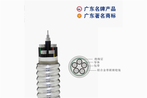 珠江電線機(jī)構(gòu)倡導(dǎo)服務(wù)品質(zhì)全方位加強(qiáng)